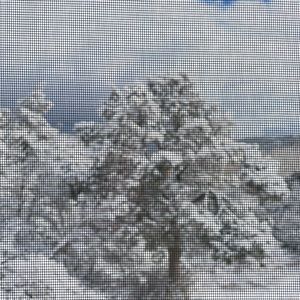 Meet your Posher, Sue